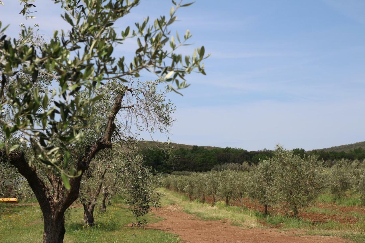 Agriturismo La Dolce Collina Villa Follonica Exteriör bild